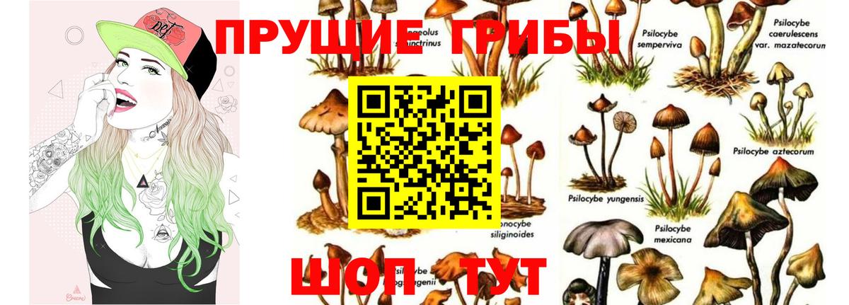 Галлюциногенные грибы Cubensis  Галлюциногенные грибы мухоморы  Вход с VPN  Кувандык 